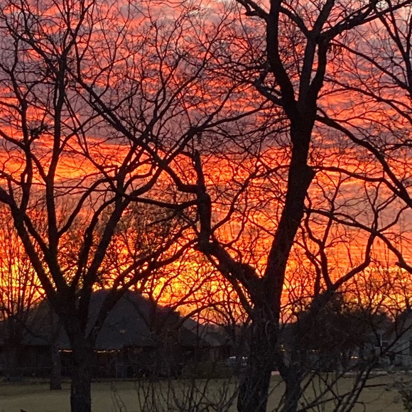 Welcome to my closet! ❤️🌎♻️ - Picture 11 of 14